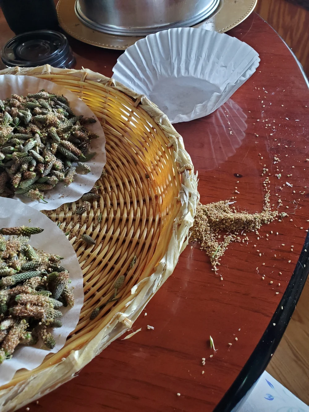 Psyllium Husks Dried Herb
